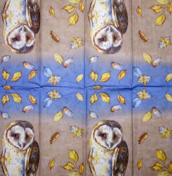 116 Eulen-lagig - Kalamazoo - CS - 24x24cm